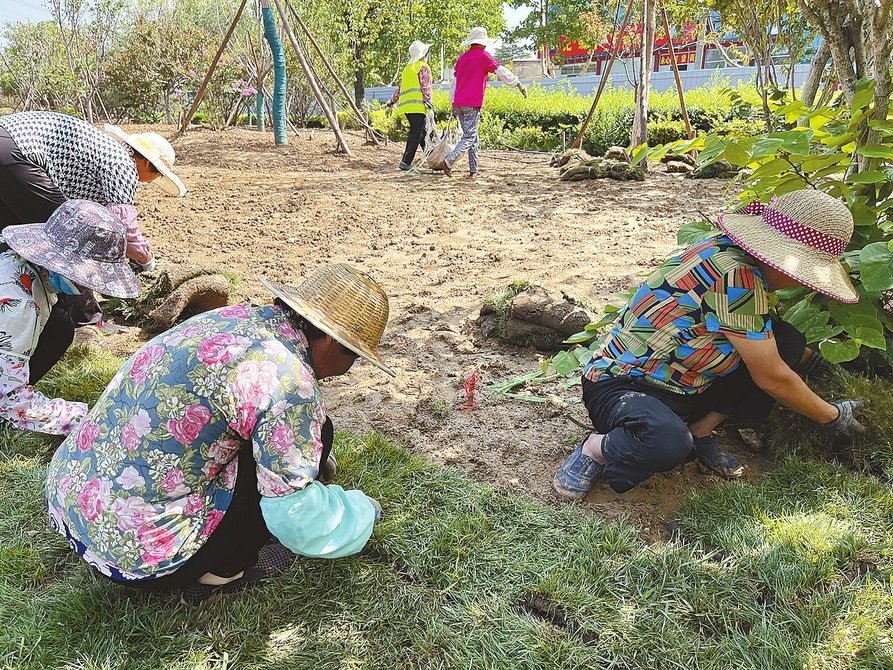 城市更新向“美”而行绿意浓