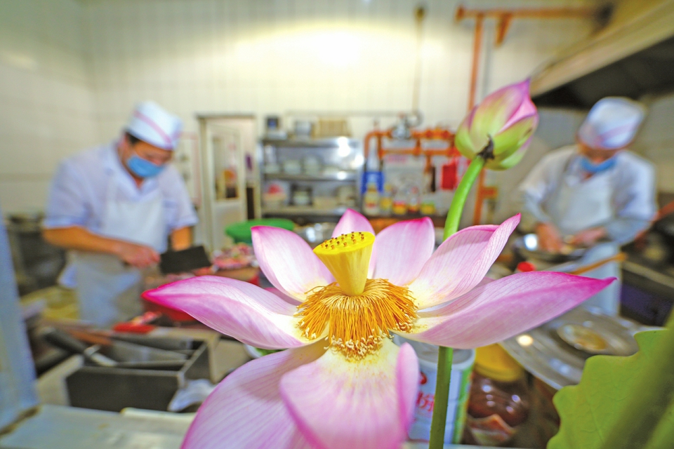 满席清风荷花宴