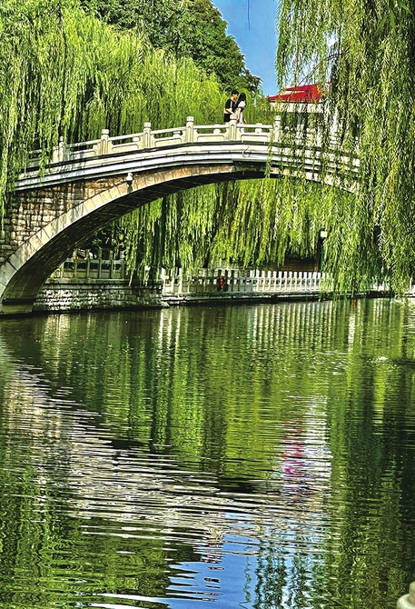 雨后打翻调色盘
