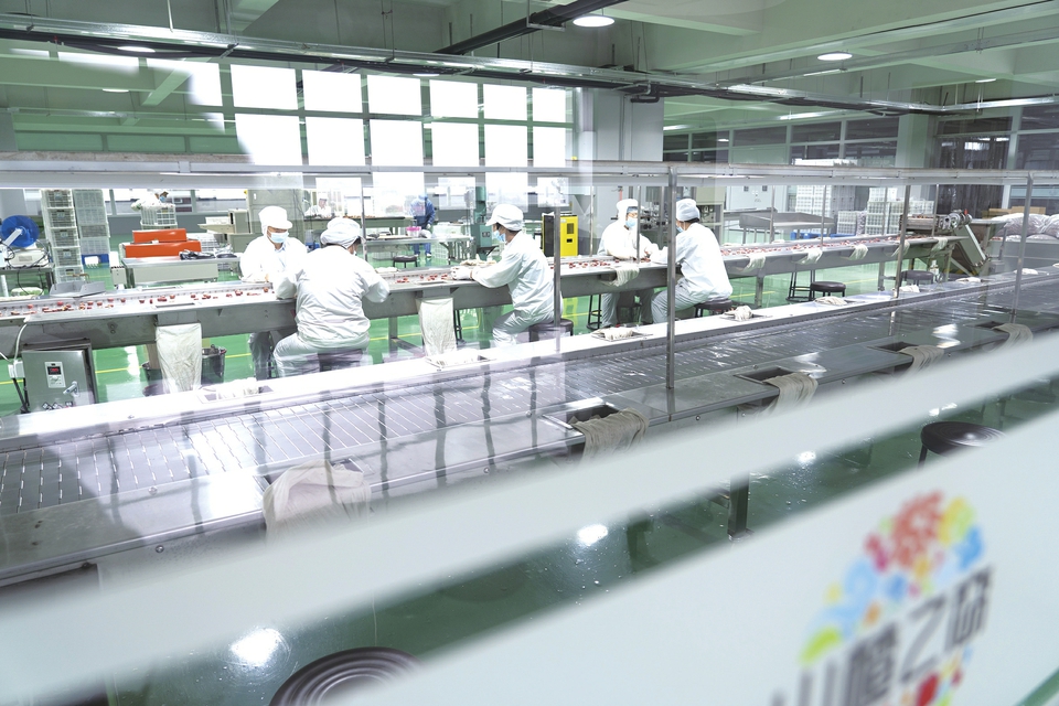 小山村建起标准化大车间