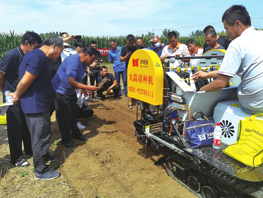 机械化“复兴”大蒜种植产业