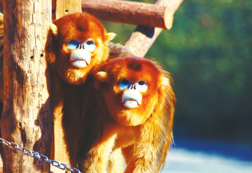 济南野生动物世界带你解锁中秋赏月新玩法