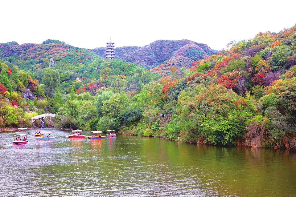 走，到济南红叶谷赏最美秋色