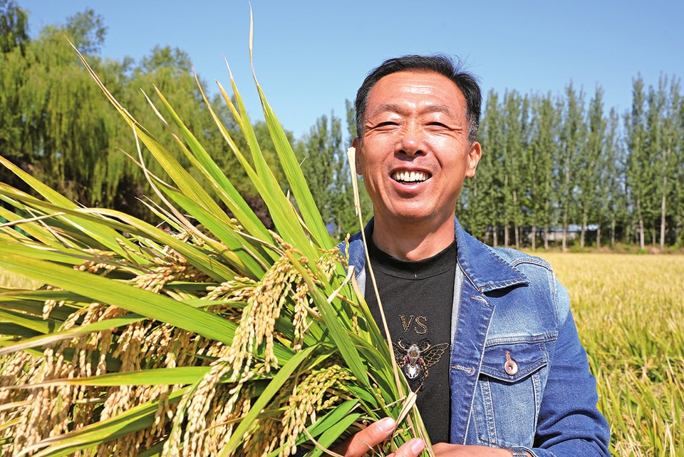 温泉水灌溉，红蜻蜓安家——这片稻海，好香！