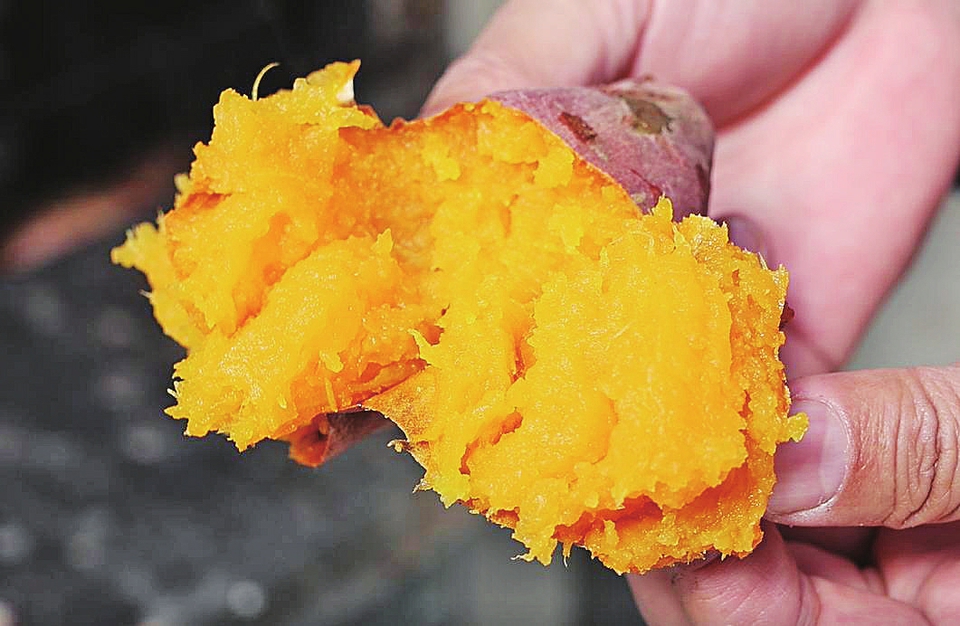 把成绩写在大地上