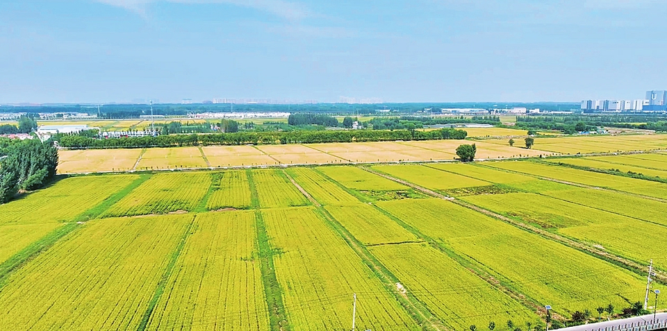 把成绩写在大地上