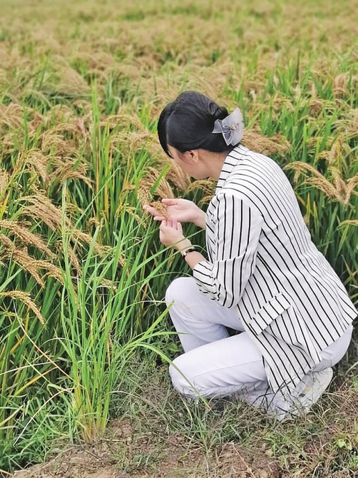 把成绩写在大地上