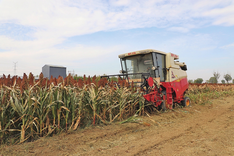 把成绩写在大地上