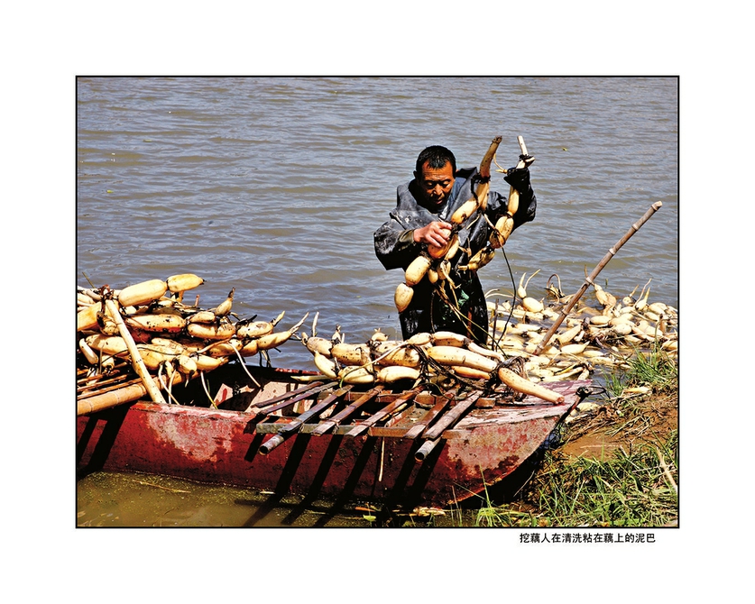 逐梦黄河五十载