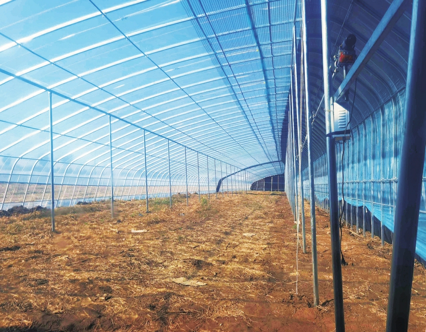 王舍人街道“幸福柳下”绘就高质量发展时代画卷