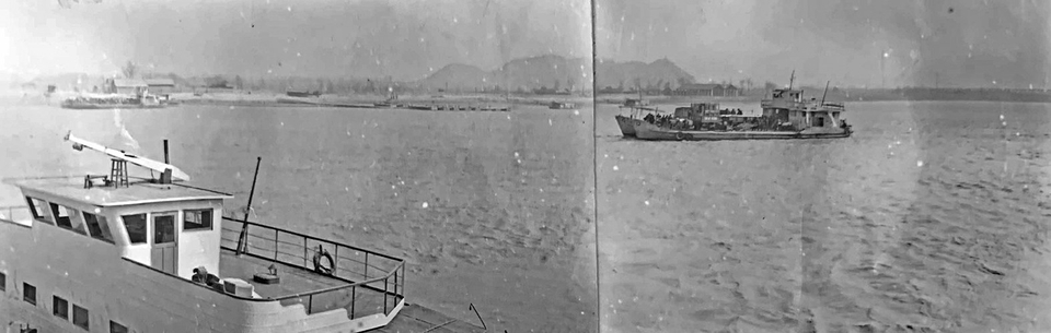 逐梦黄河五十载