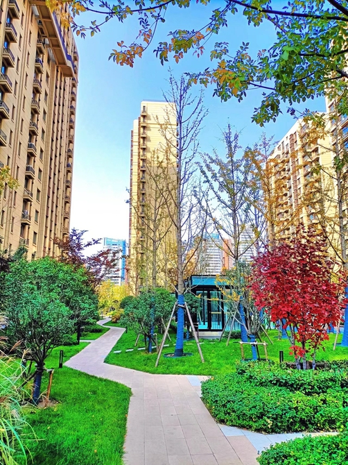 王舍人街道“幸福柳下”绘就高质量发展时代画卷