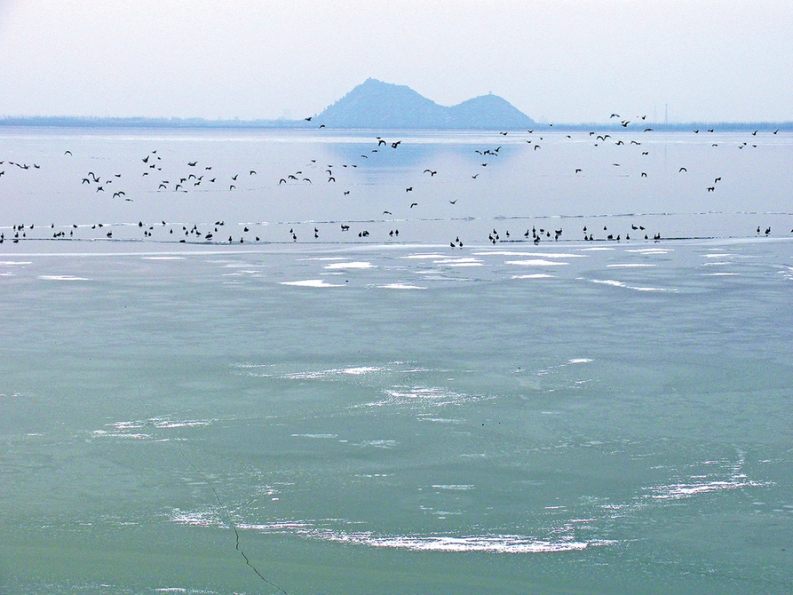 逐梦黄河五十载