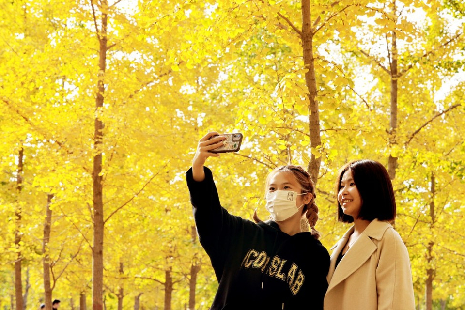 人间秋意浓 赏景正当时