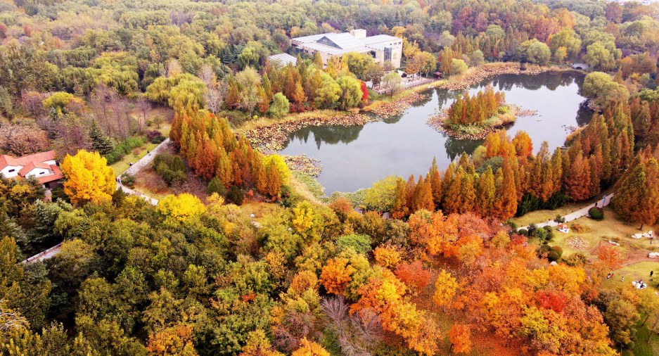 人间秋意浓 赏景正当时
