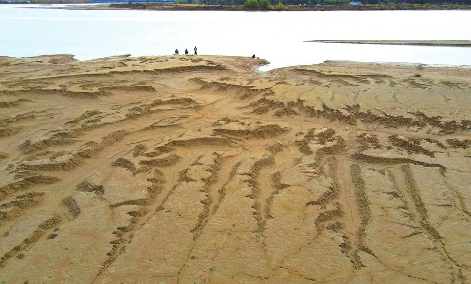 河床沙画 岸树披金