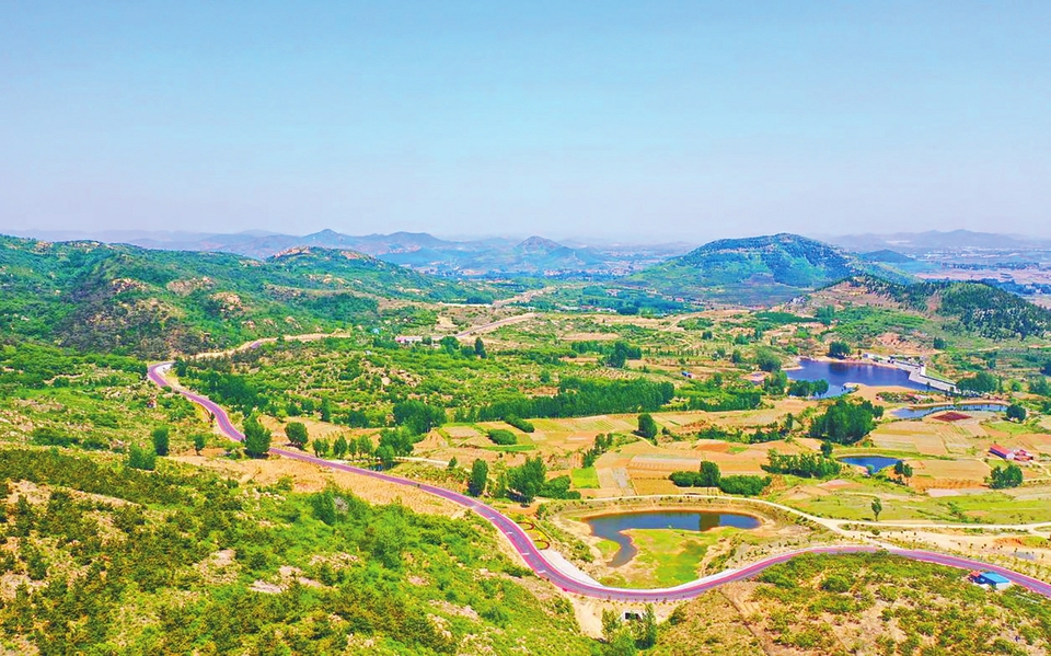 羊里街道党建引领打造乡村振兴联合体,勾勒现代田园“水乡图” 一条路串活7个小山村