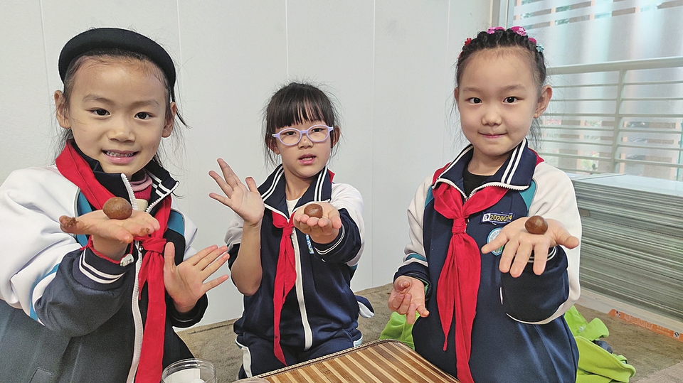 工业文旅深度融合结硕果，三年斩获三大国家级荣誉 力诺集团创新打造工业旅游新高地