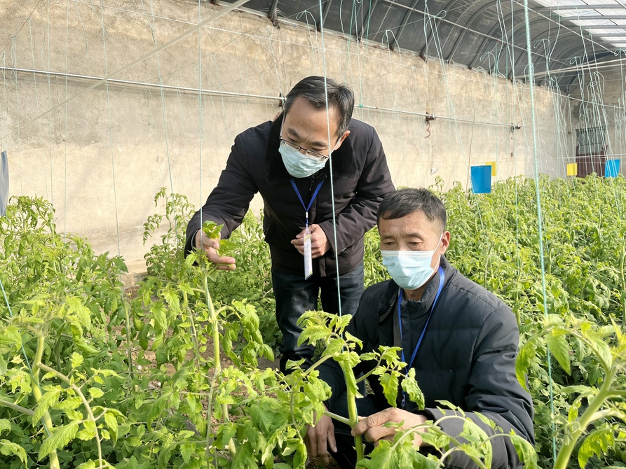 强化农技指导更好助农增收