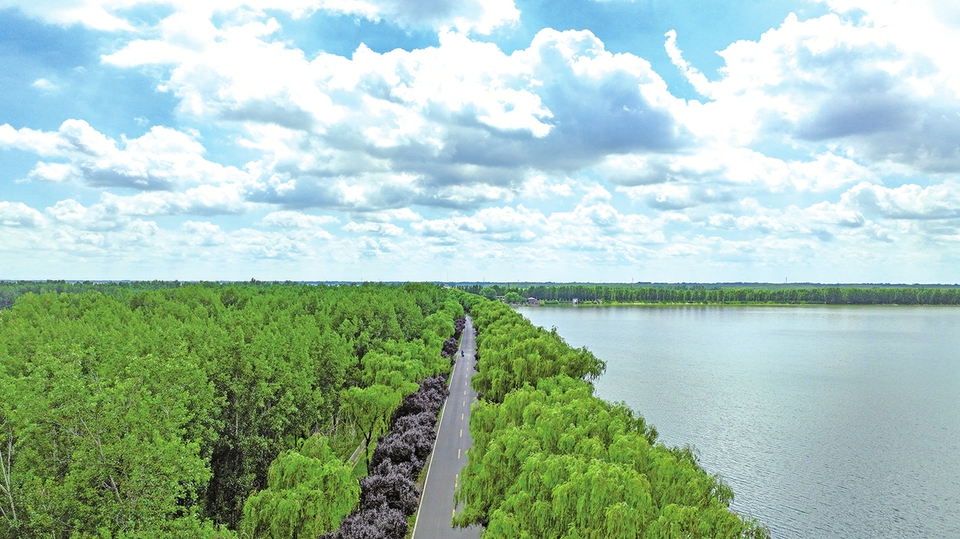 槐荫黄河河务局全力推动黄河流域生态保护和高质量发展 打造多彩缤纷幸福河 建设生态优美新高地