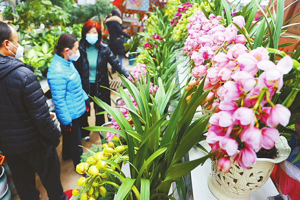 元旦假期首日文旅产品供给充足 济南市10家重点监测景区共接待游客5.9万人次