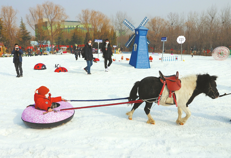 当动物遇见冰雪！济南野生动物世界戏雪乐园欢乐多