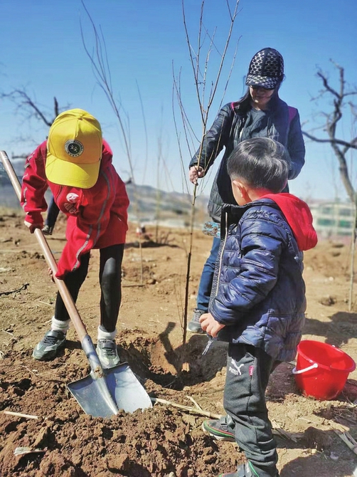踏青、植树、赏花……泉城济南春光初绽