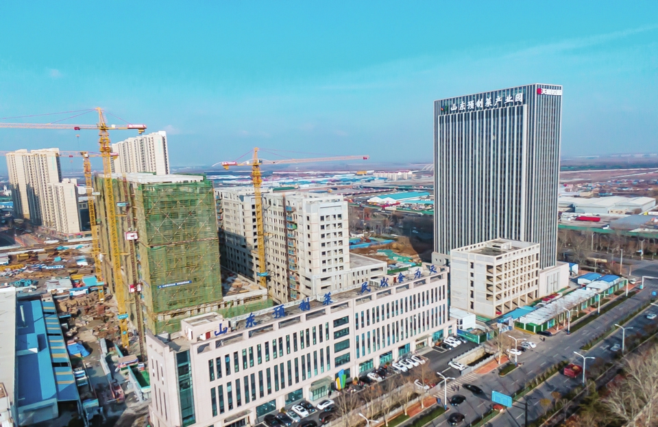 项目为王 争创一流