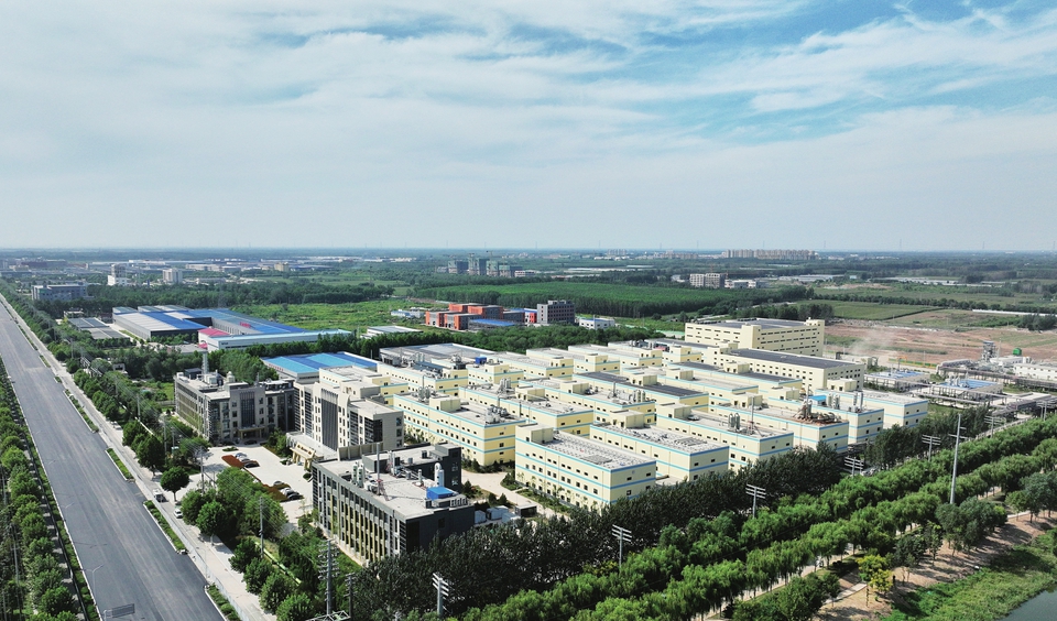 项目为王 争创一流