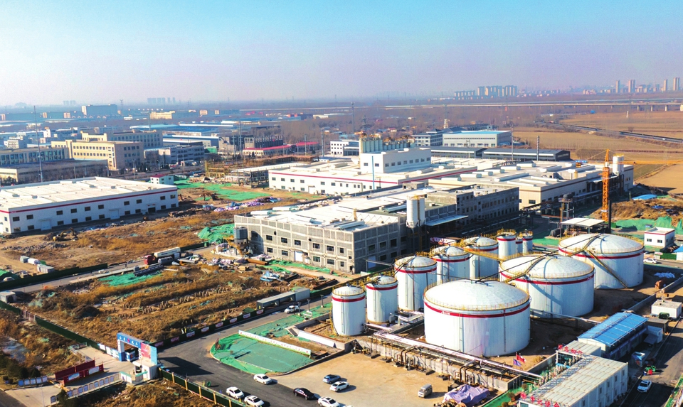 项目为王 争创一流