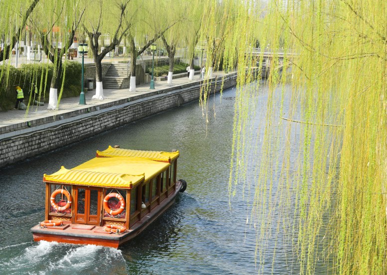 济南：惊蛰到 春意盎