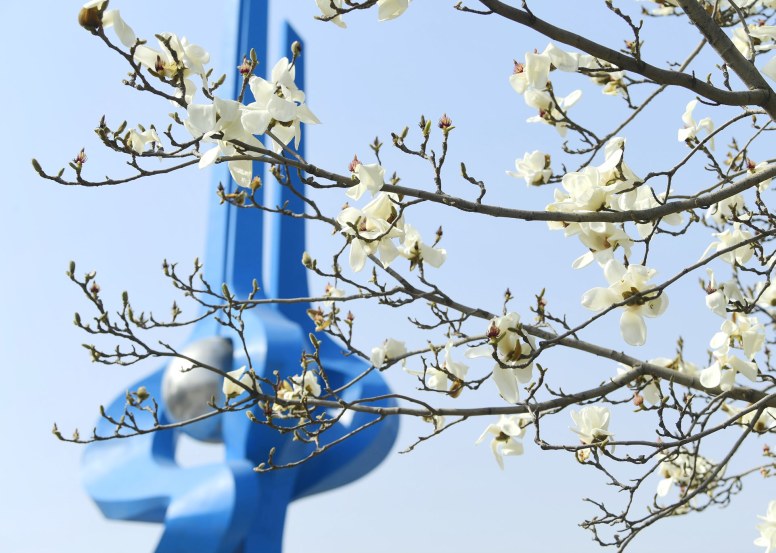 济南：惊蛰到 春意盎