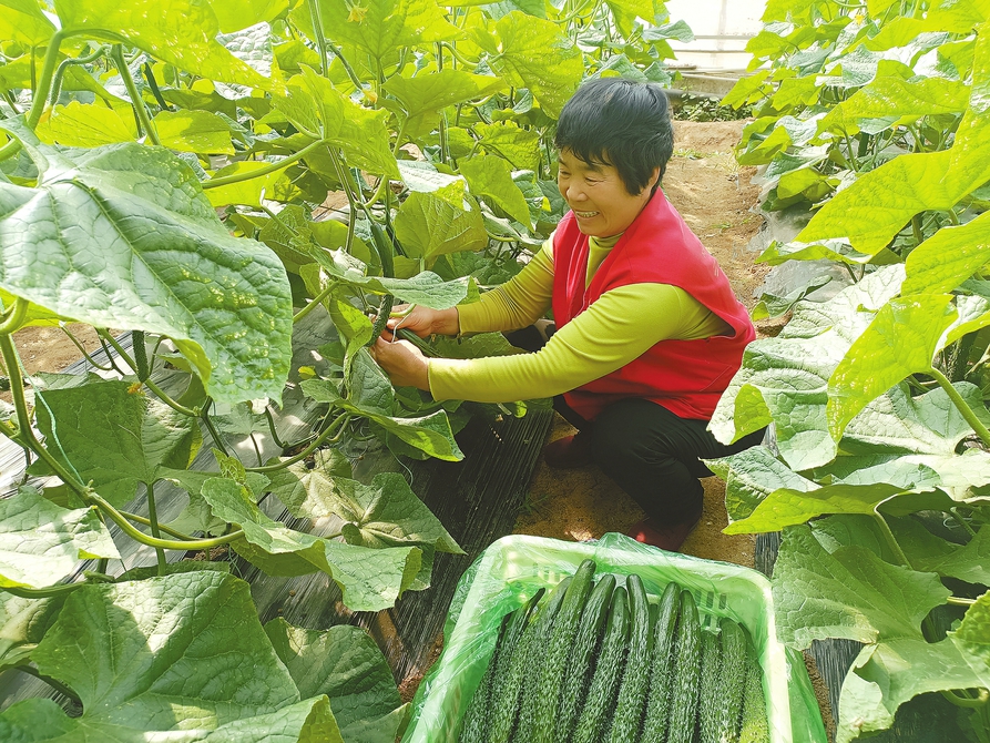 高庄街道探索“1+6+4”党建工作思路：打造“山水村居”党建品牌