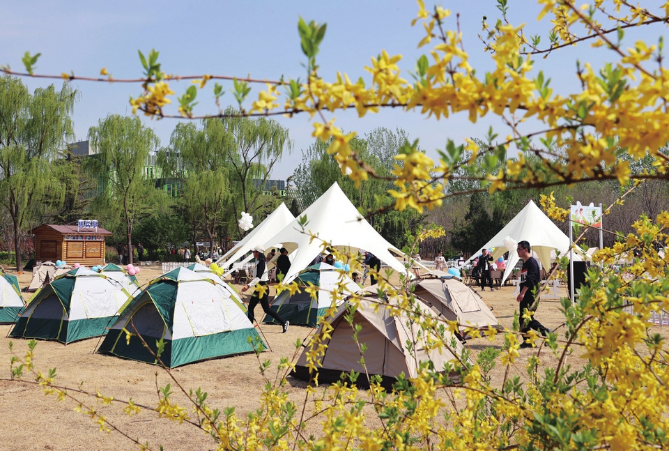 亲子互动草坪音乐……趣“野”动物森林露营季惊喜开启