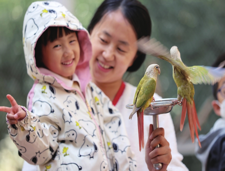 亲子互动草坪音乐……趣“野”动物森林露营季惊喜开启