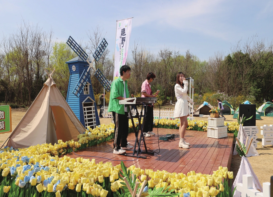 亲子互动草坪音乐……趣“野”动物森林露营季惊喜开启