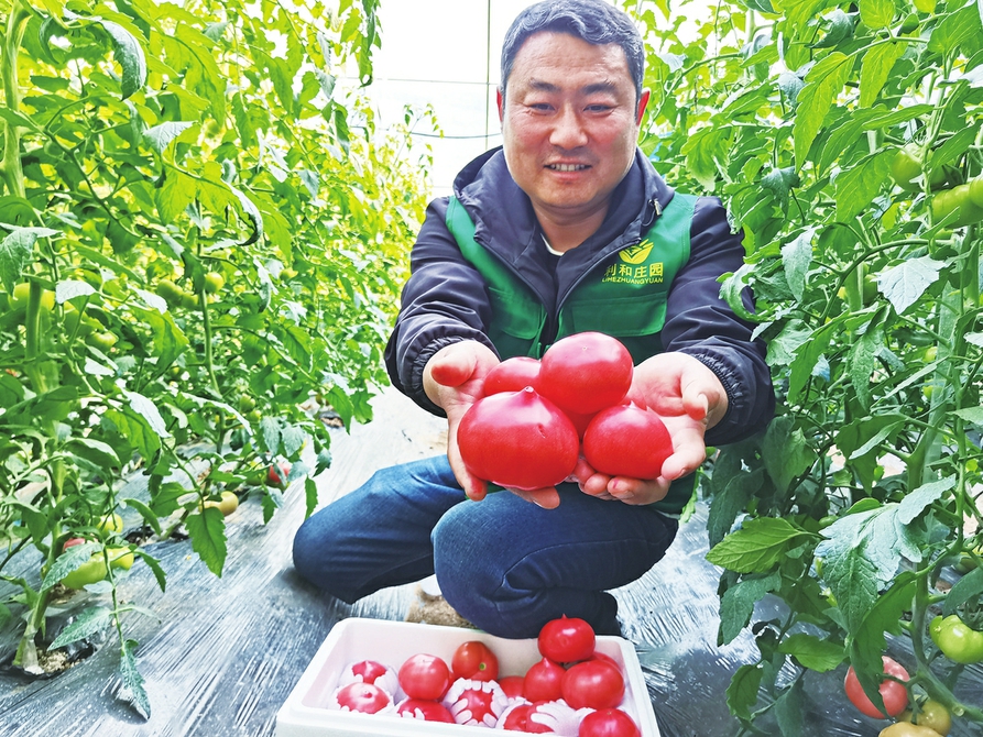 “品牌矩阵”里走出特色农业