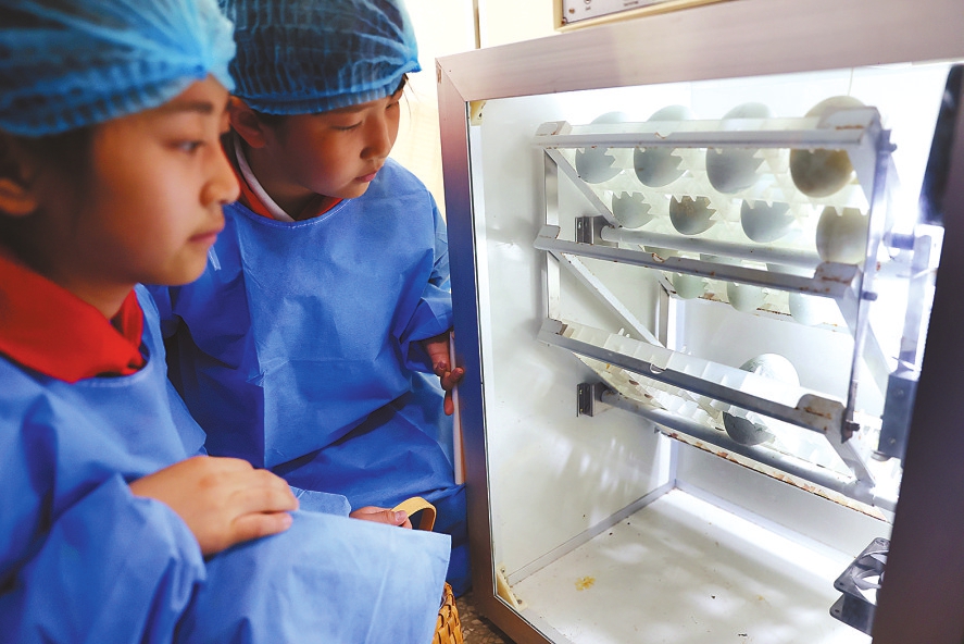 看孵化，听故事！济南动物园研学乐趣多