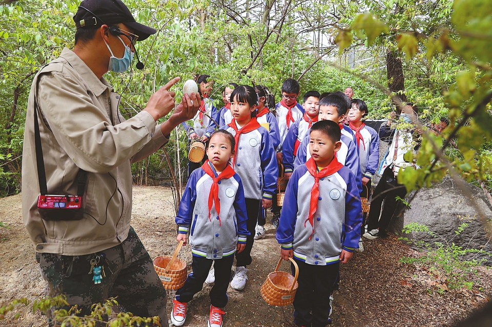 看孵化，听故事！济南动物园研学乐趣多