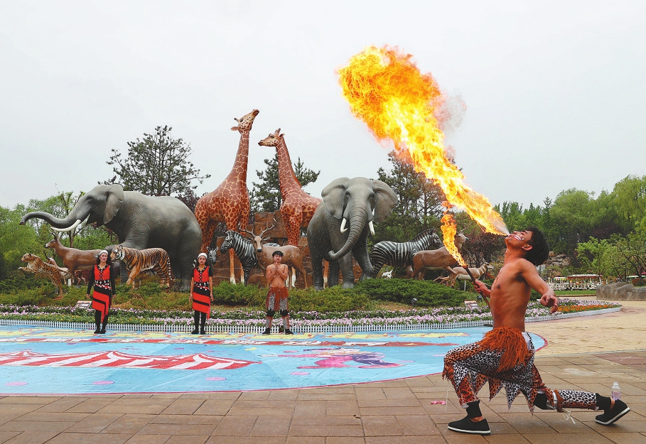 先睹为快 济南野生动物世界第四届国际马戏嘉年华狂欢开启