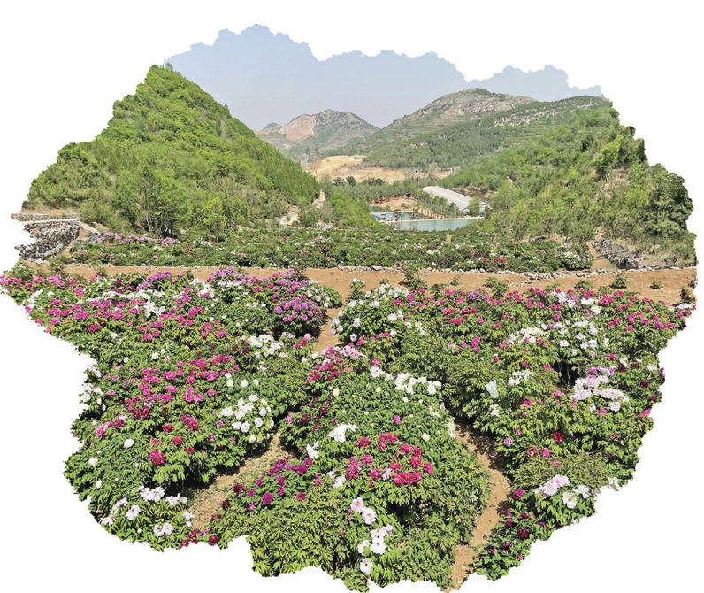 抓住流量密码的济南热