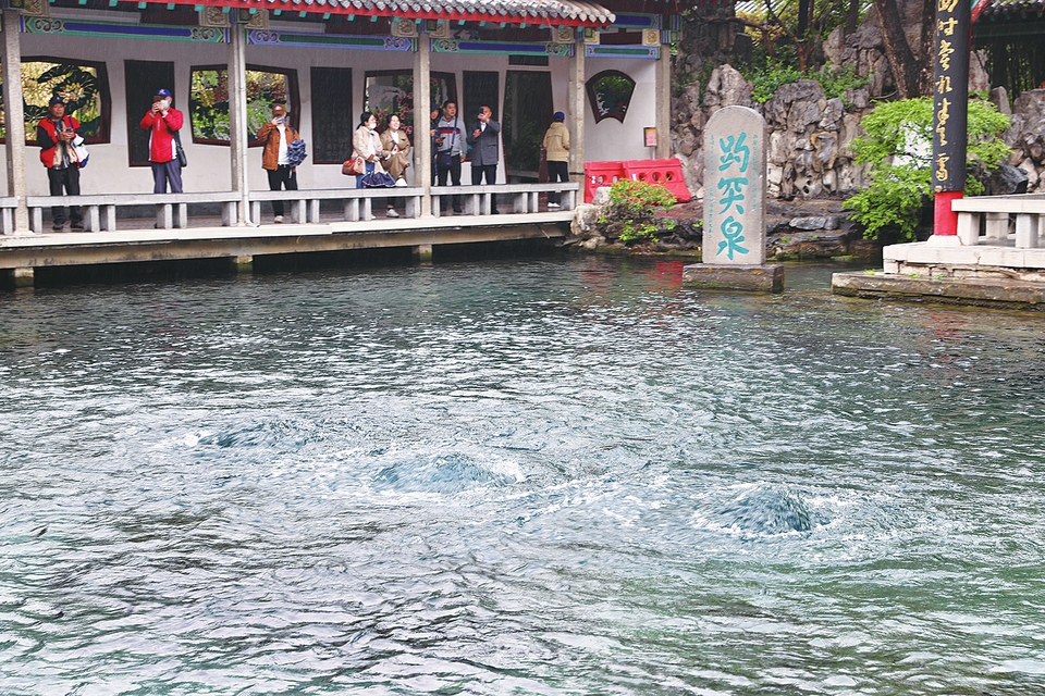 春雨连绵 水位回升 趵突腾空持续在线