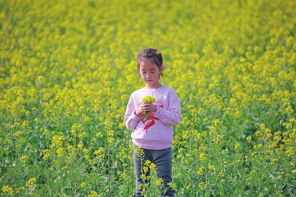 抓住流量密码的济南热