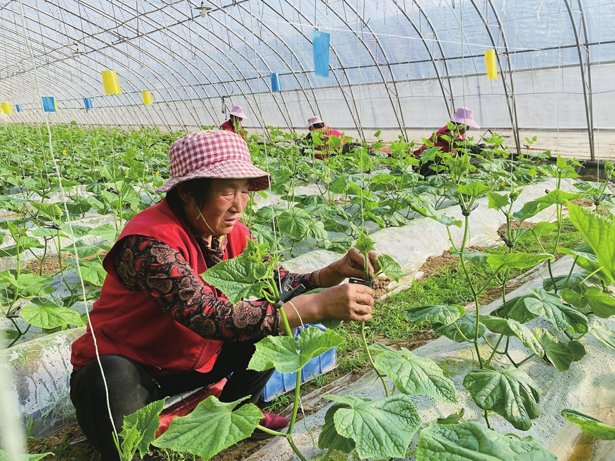 乐业安居，绘就共富“新蓝图”——从强省会战略目标看济南新未来之“富”（上）