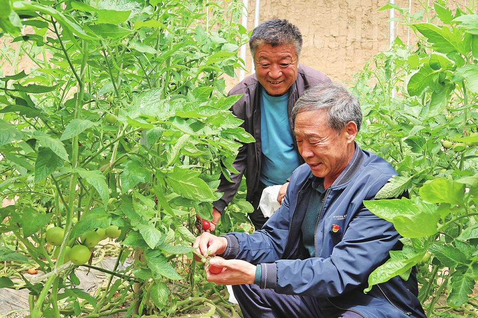 乡村振兴路上，这个村书记这么干！