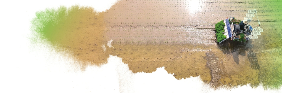 科技赋能田长制 守牢耕地生命线 济南市打通耕地保护监管“最后一公里” 