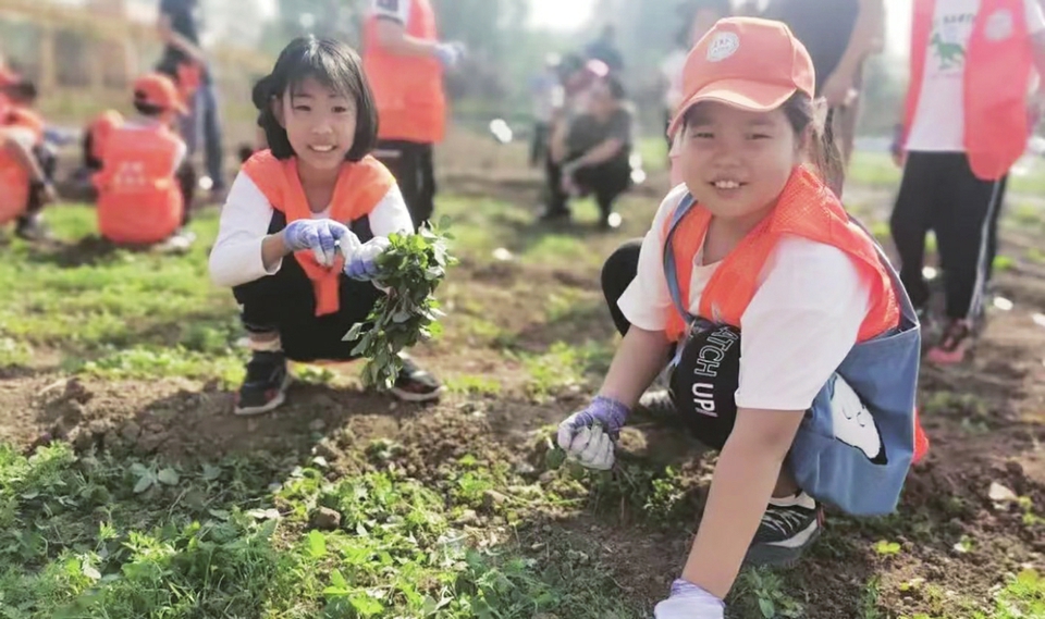 产业兴 乡村美 村民富 集体强 市中区党建引领激活村集体经济一池活水