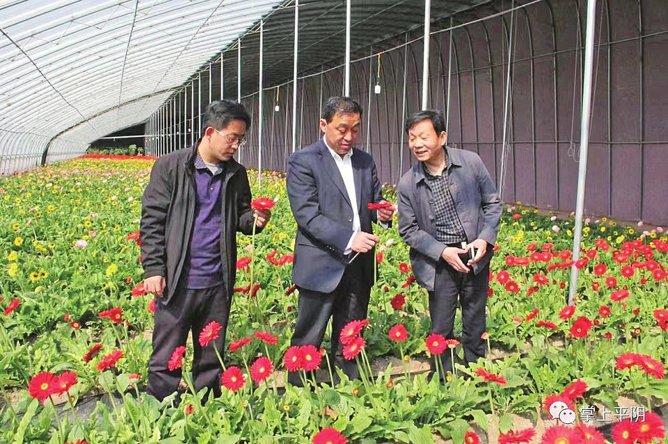 村支书变经理人运营乡村有高招 —记平阴县东阿镇北市村党支部书记史兴顺