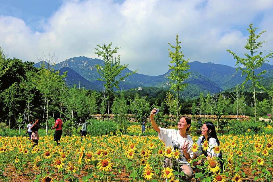 叠泉飞瀑缤纷夏 最是悠然见南山！来一场说走就走的“生态疗愈”