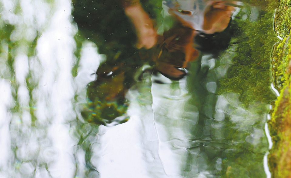 济南：“金线奇观”再现  